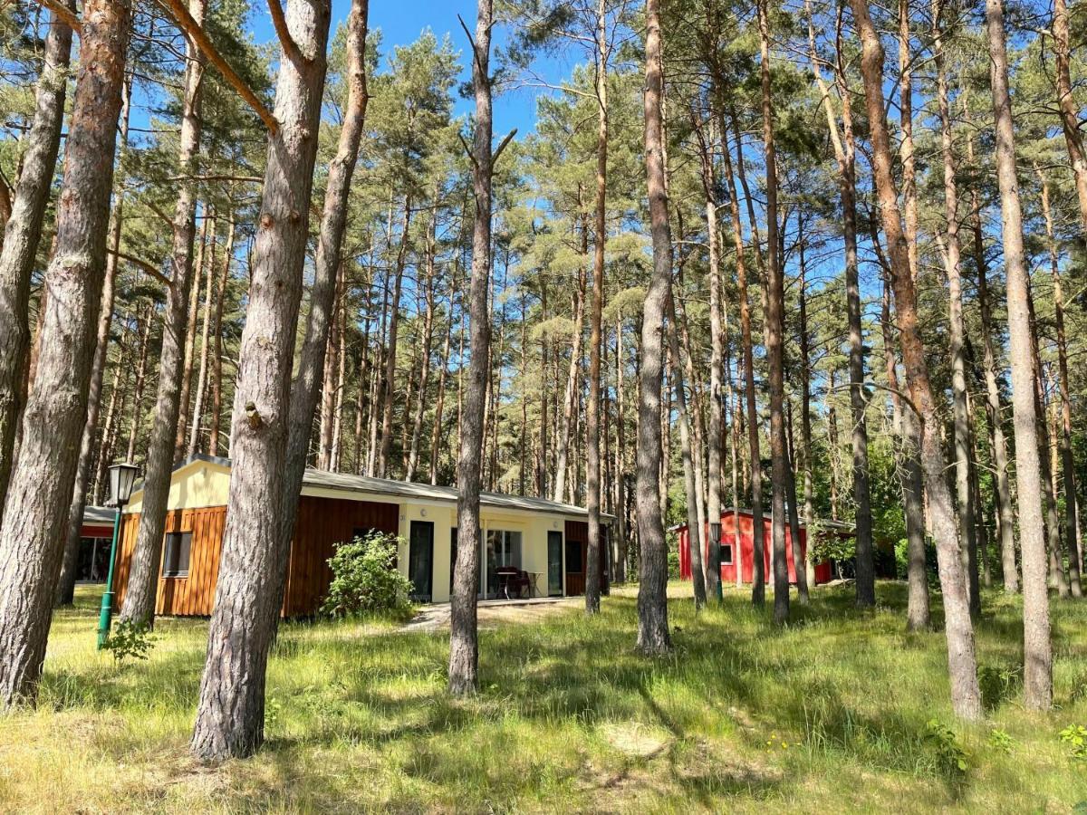 Holiday Home Silz Am Fleesensee-1 By Interhome Eksteriør billede